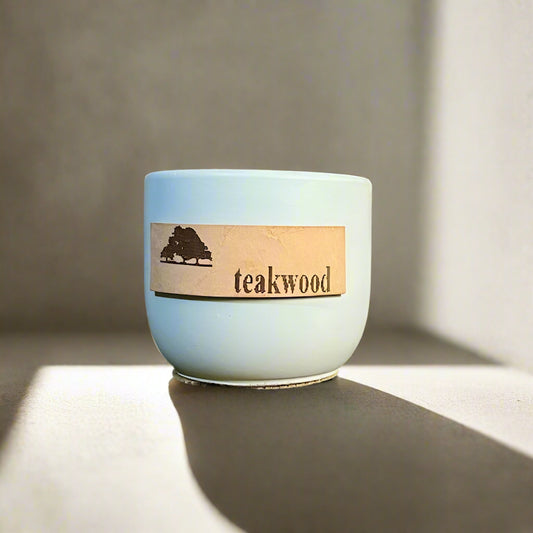 soy candle, soy candles, votives,cement candle